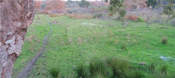 9 bedrooms House in Fundao, Portugal No. 58571 10