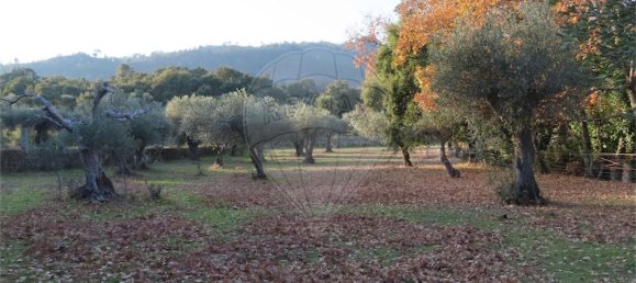 9 bedrooms House in Fundao, Portugal No. 58571 25