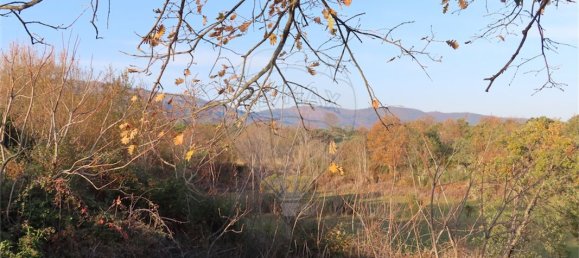 9 bedrooms House in Fundao, Portugal No. 58571 23