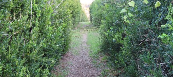 9 bedrooms House in Fundao, Portugal No. 58571 37