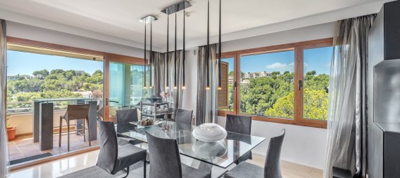 4 chambres Penthouse à Cas Catala, Spain No. 79861 16