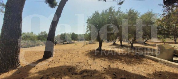 5 rooms Villa in Augusta, Italy No. 46463 7