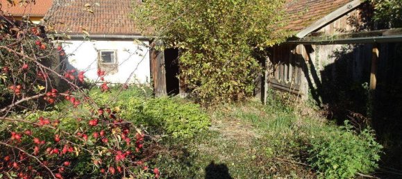 Adosado de 8 habitaciónes en Litschau, Austria No. 156213 3