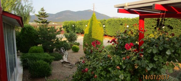 5 غرف نوم فيلا في Maroneia, Greece رقم 6001 18