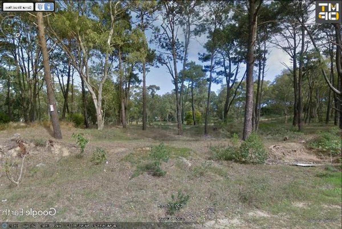 Grundstück in Maldonado, Uruguay, Nr. 15749