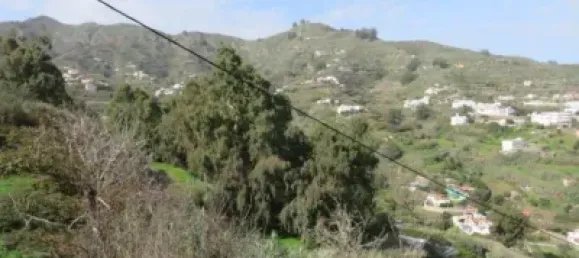 Terreno em Teror, Spain N.º 61619 8