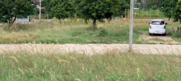  Land in Ko Samui, Thailand No. 26694 6