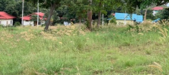  Land in Ko Samui, Thailand No. 26694 5