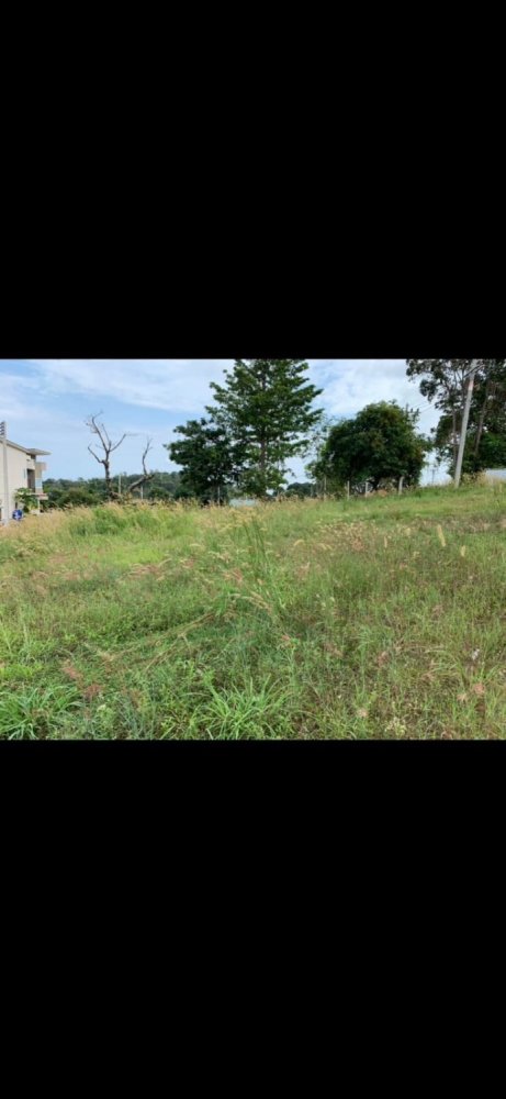  Land in Ko Samui, Thailand No. 26694