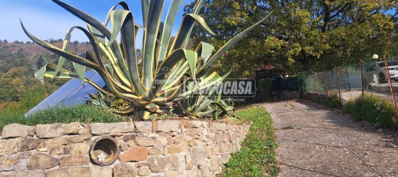 3 chambres Villa à Sanremo, Italy No. 119588 41