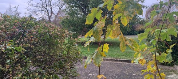 3 غرف نوم شقة في Orleans, France رقم 151955 13