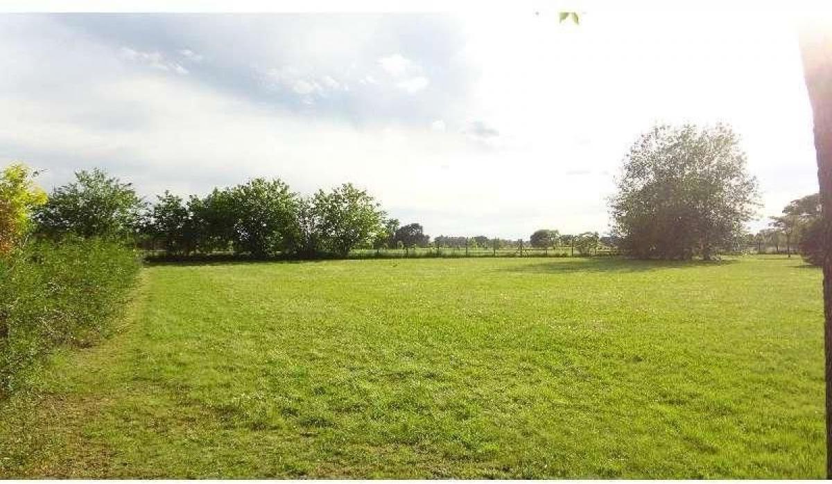  Land in San Isidro, Argentina No. 115156