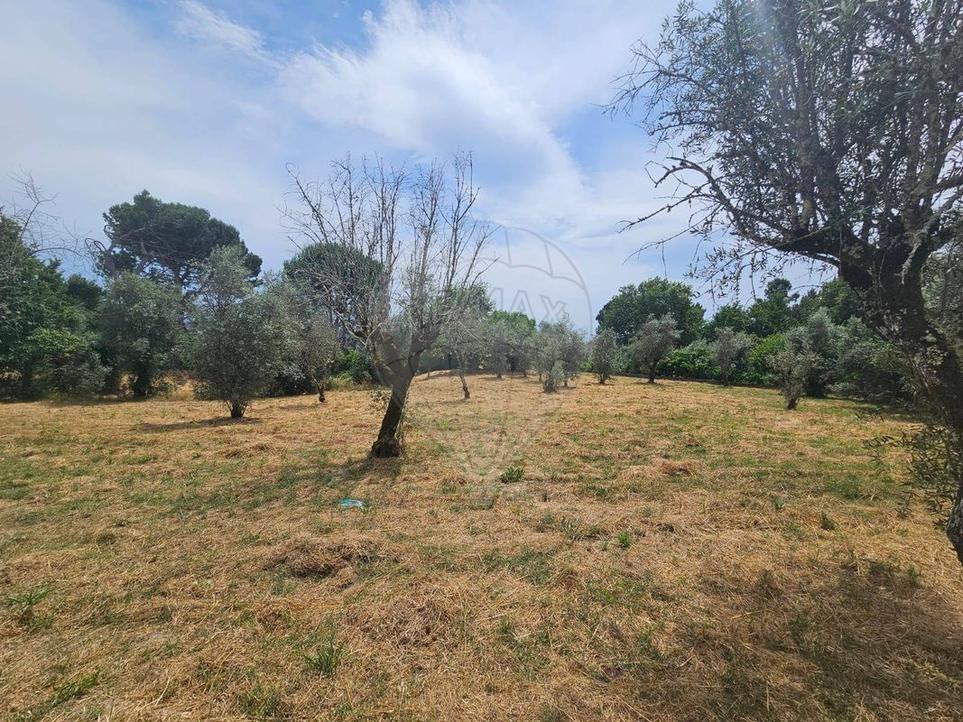  Land in Oliveira do Conde, Portugal No. 202896