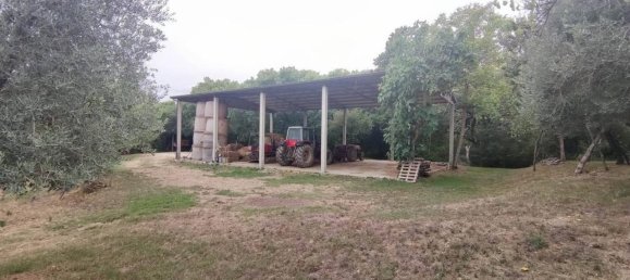 20-Zimmer Haus in Sovicille, Italy, Nr. 27611 9