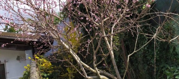 6 bedrooms Villa in Grondona, Italy No. 372496 4