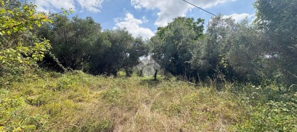 Casa T1 em Lanciano, Italy N.º 339836 10