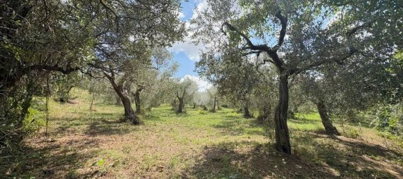 Casa T1 em Lanciano, Italy N.º 339836 5