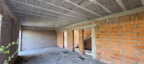 Terrain à Campo de Besteiros, Portugal 381m² No. 58795 3