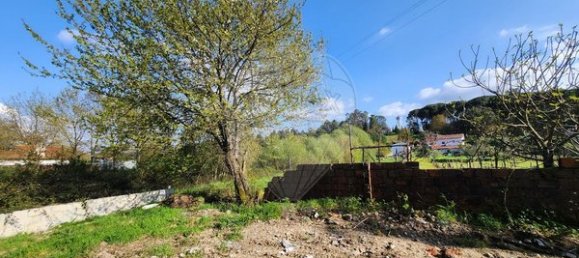 Terrain à Campo de Besteiros, Portugal 381m² No. 58795 6