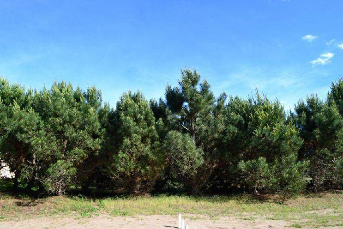 Земельный участок в Мар-дель-Плата, Аргентина № 114659