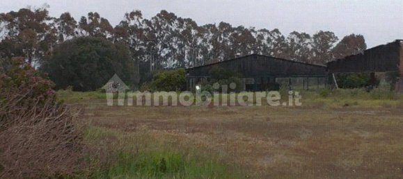 1-Zimmer Gewerbliche Immobilie in Sassari, Italy, Nr. 338334 2