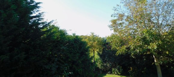 5-Zimmer Stadthaus in Steinfurt, Germany, Nr. 285590 5