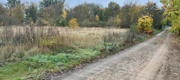 Land in Wittenberg, Germany No. 186435 4