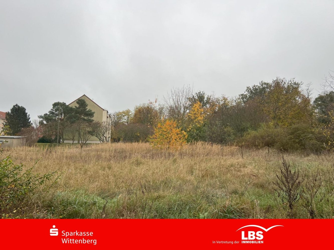  Land in Wittenberg, Germany No. 186435