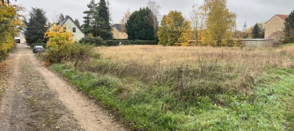 Land in Wittenberg, Germany No. 186435 6