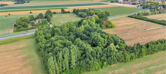 14 rooms House in Campogalliano, Italy No. 295679 37