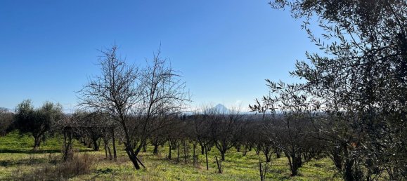 40800m² Land in Gallese, Italy No. 257021 2