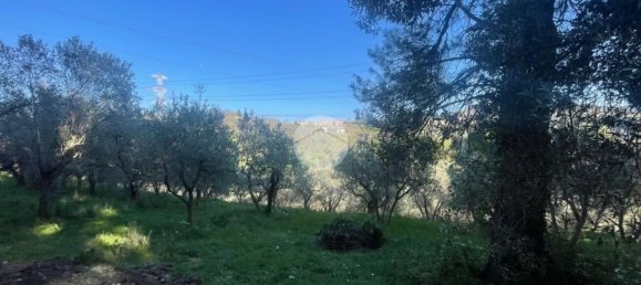  قطعة أرض في Terni, Italy 3320متر مربع رقم 308079 18