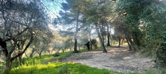  قطعة أرض في Terni, Italy 3320متر مربع رقم 308079 21