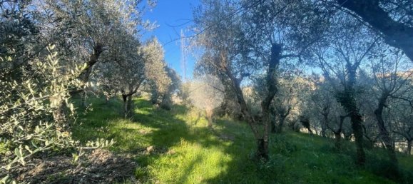  قطعة أرض في Terni, Italy 3320متر مربع رقم 308079 7