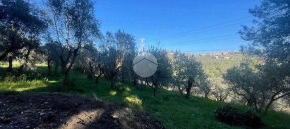  قطعة أرض في Terni, Italy 3320متر مربع رقم 308079 8