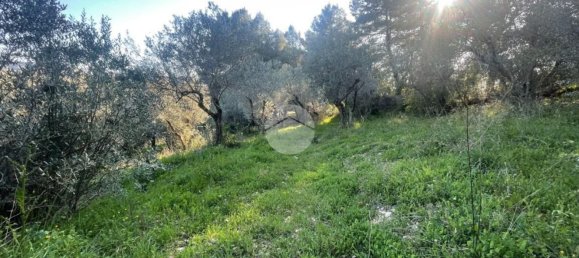  قطعة أرض في Terni, Italy 3320متر مربع رقم 308079 13