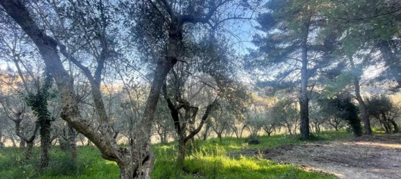  قطعة أرض في Terni, Italy 3320متر مربع رقم 308079 12