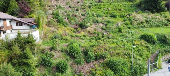  Land in Spittal an der Drau, Austria No. 250911 6