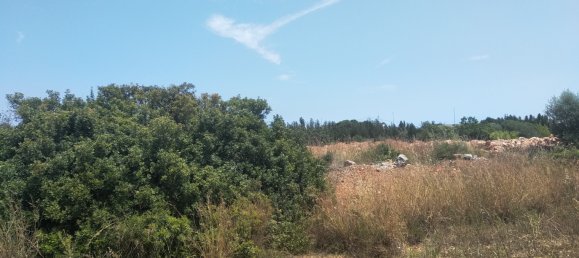 Земельный участок 4986м² в Кастельон, Испания № 190630 42