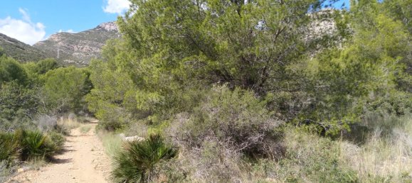 Земельный участок 4986м² в Кастельон, Испания № 190630 13