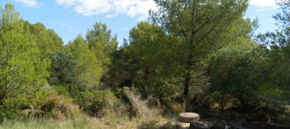 Земельный участок 4986м² в Кастельон, Испания № 190630 2