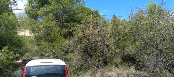 Земельный участок 4986м² в Кастельон, Испания № 190630 4