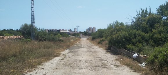 Земельный участок 4986м² в Кастельон, Испания № 190630 41