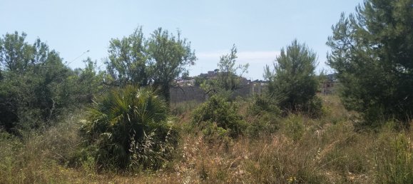 Земельный участок 4986м² в Кастельон, Испания № 190630 36