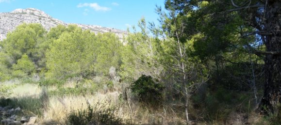 Земельный участок 4986м² в Кастельон, Испания № 190630 18
