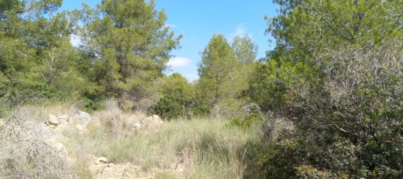 Земельный участок 4986м² в Кастельон, Испания № 190630 20