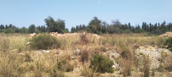 Земельный участок 4986м² в Кастельон, Испания № 190630 34