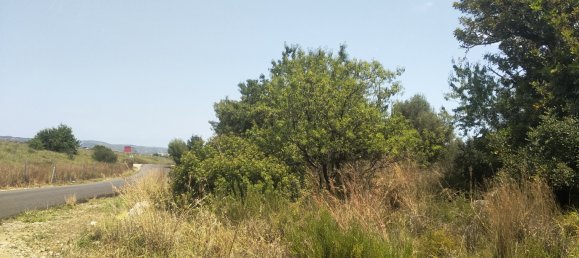 Земельный участок 4986м² в Кастельон, Испания № 190630 47