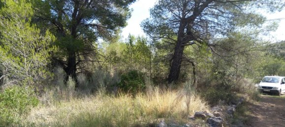 Земельный участок 4986м² в Кастельон, Испания № 190630 12