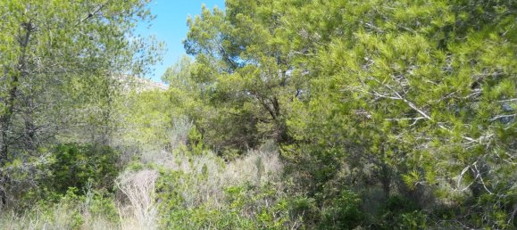 Земельный участок 4986м² в Кастельон, Испания № 190630 8